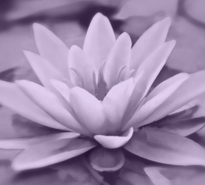 Stanislava Ferdinandova 1 1 (2) Stanislava Ferdinandova 1 1 (2)